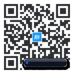系统版 iOS 二维码